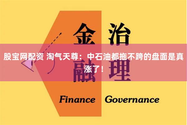 股宝网配资 淘气天尊：中石油都拖不跨的盘面是真涨了！